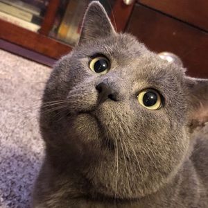 Meet your Posher, Lana